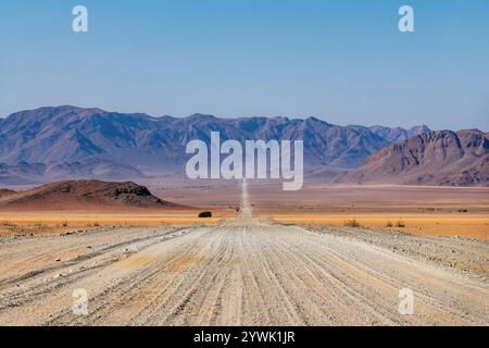 Schotterstraße im NamibRand Nature Reserve, malerische Landschaft in Namibia, Afrika Stockfoto