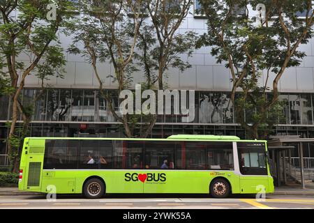 SINGAPUR CITY, SINGAPUR - 11. MÄRZ 2024: Die Menschen fahren in Singapur City mit einem Stadtbus. Busse in Singapur werden von SBS Transit betrieben. Stockfoto