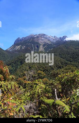 Mt. Kinabalu an einem sonnigen Tag. Höchster Berg in Malaysia. Sabah Region von Borneo. Stockfoto