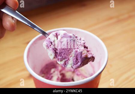 Köstliches Blaubeeren-Joghurt-Eis von Hand schöpfen Stockfoto