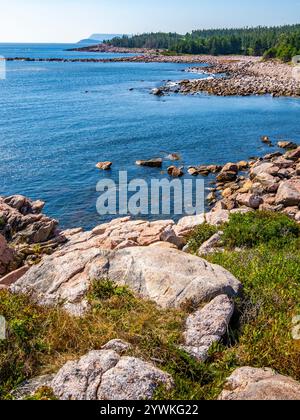 Felsige Atlantikküste in Green Cove auf dem Cabot Trail auf Cape Breton Island Nova Scotia Canada Stockfoto