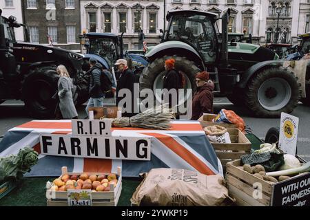 Organisiert von No Farmers No Food and Save British Farming, beginnt die Demonstration mit Tiefladern auf Millbank und Traktoren auf Whitehall. Die Demonstranten fordern von der Regierung, Pläne für ein Freihandelsabkommen zwischen Großbritannien und den USA aufzugeben, ein EU-Veterinärabkommen zu schließen, um Handelshemmnisse abzubauen, und die Erbschaftssteuer auf landwirtschaftliche Betriebe abzulehnen. Die Rallye lehnt auch den schnellen Rückzug der Grundzahlungen und der CO2-Steuern auf Düngemittel ab. Die Veranstaltung umfasst Vorträge und eine Traktorprozession durch das Zentrum Londons. (Foto: Joao Daniel Pereira/SIPA USA) Stockfoto