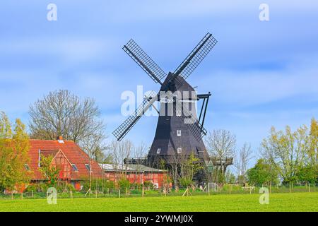 Windmühlenmuseum in der alten Smokmühle Jachen Flünk im Dorf Lemkenhafen auf der Insel Fehmarn, Landkreis Ostholstein, Schleswig-Holstein Stockfoto