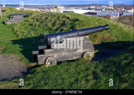 Eine historische Kanone befindet sich auf grasbewachsenem Gelände und bietet einen atemberaubenden Blick auf die Skyline der Stadt unter einem klaren blauen Himmel. Die Szene erfasst eine Mischung aus n Stockfoto