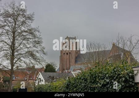 Eine kopfsteingepflasterte Gasse, die von Backsteinmauern eingerahmt ist, führt zu einem Blick auf einen historischen Kirchturm. Efeu-bedeckte Wände und malerische Häuser verleihen Charme unter einem bewölkten Himmel Stockfoto