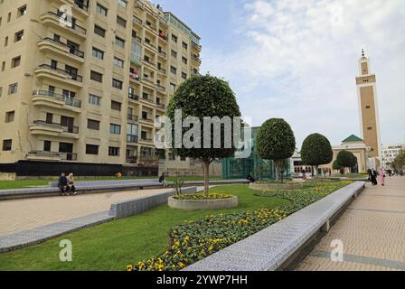 Avenue Belgique im Stadtteil Ville Nouvelle von Tanger Stockfoto