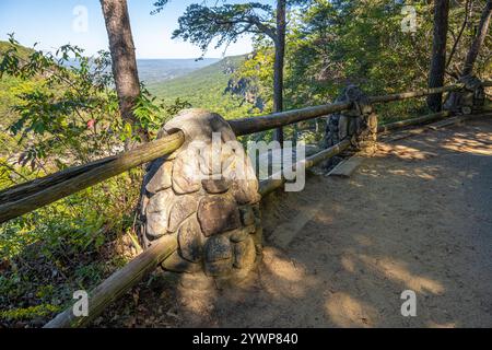 Im Cloudland Canyon State Park in Rising Fawn, Georgia, gibt es einen Blick auf den RIM Trail. (USA) Stockfoto