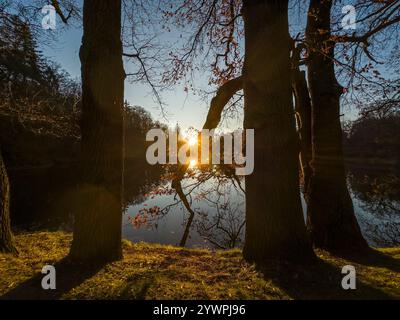 Die abendliche Winterlandschaft ohne Schnee des Labeska-Teichs im Pruhonice-Park am Stadtrand von Prag, Tschechische Republik, 30. November 2024. (CTK Photo/Lib Stockfoto