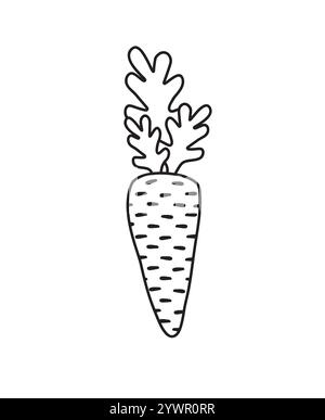 Vektor-schwarzer Umriss Hand gezeichnete Doodle Cartoon Karotte isoliert auf weißem Hintergrund Stock Vektor