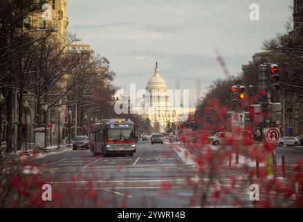 Ein Winterblick auf das Kapitol der Vereinigten Staaten von der Pennsylvania Avenue in Washington, D.C. mit einem Stadtbus und roten Beeren im Vordergrund. Stockfoto