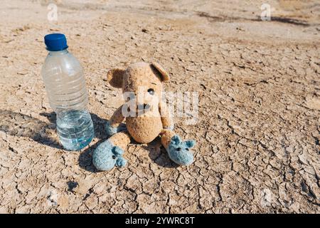 Eine Flasche Wasser und ein Teddybär liegen an einem sonnigen Sommertag auf dem Boden eines trockenen Sees. Das Konzept des Problems des Klimawandels Stockfoto