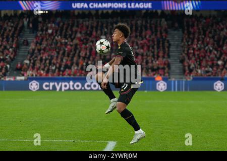 Lissabon, Portugal. Dezember 2024. Dan Ndoye vom FC Bologna in der UEFA Champions League-Phase am 6. Spieltag zwischen Benfica und Bologna im Estadio da Luz in Lissabon, Portugal. 12/11/2024 Credit: Brazil Photo Press/Alamy Live News Stockfoto