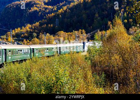 Der FLAM-Eisenbahnzug fährt durch das Flamsdalen-Tal zwischen Flam und Myrdal auf dieser malerischen Eisenbahnfahrt, Norwegen, Europa, 2024 Stockfoto