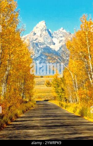 Natürliche Umgebung und Tierwelt Stockfoto