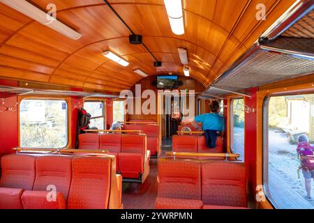 Touristen, die mit der Flambahn fahren, während der Zug zwischen Flam Village und Myrdal durch das Flamsdalen Tal in Norwegen, Europa fährt Stockfoto