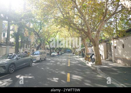 Eine ruhige Straße an der Jilu Road, Jing'an District, Shanghai, China, an einem kalten Wintertag am 1. Dezember 2024. Stockfoto