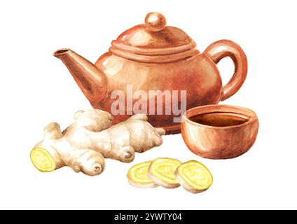Ingwer Tee Teekanne, Tasse und Ingwerwurzel, Konzept des gesunden Getränks. Handgezeichnete Aquarellillustration isoliert auf weißem Hintergrund Stockfoto