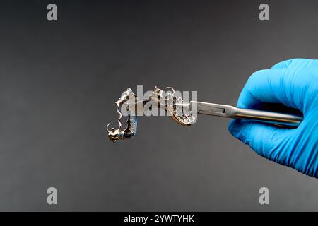 Eine Person, die blaue Handschuhe trägt, hält eine Schere mit einer Metallklinge Stockfoto