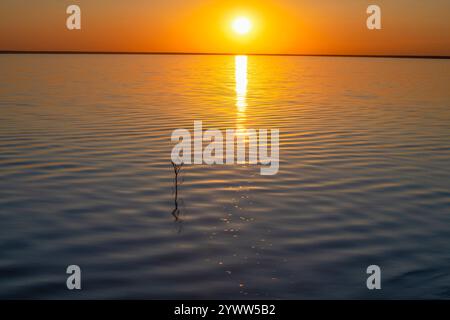 Mai Sonnenuntergang auf dem Salzsee Elton. Wolgograd, Russland Stockfoto