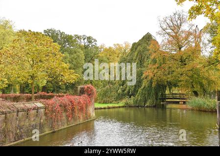 Utrecht, Niederlande. Oktober 2024. Park mit Teich in Herbstfarben. Hochwertige Fotos Stockfoto