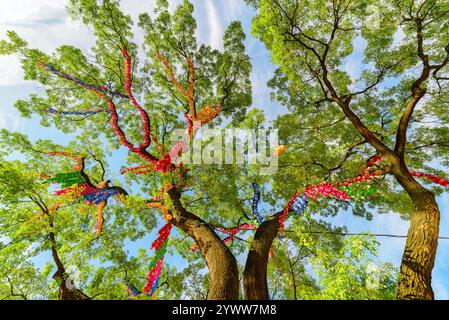 Grüner Baum mit Laternen und Blumen, Jogyesa Tempel Stockfoto