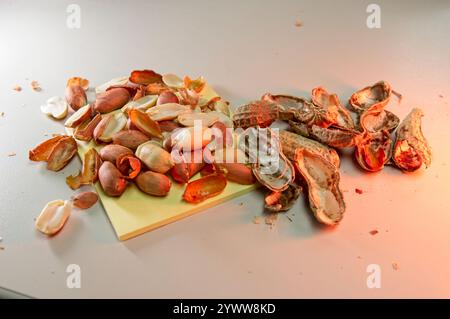 Geschälte Erdnüsse auf einer Theke mit leeren Schalen Stockfoto