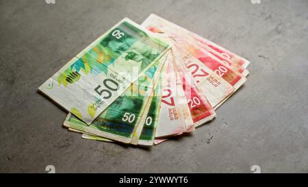 Israelische Schekel-Banknoten, die in aufgefächerter Weise auf einer grauen Oberfläche angeordnet sind und das lebendige Design und die Devisendenominierung zeigen. Stockfoto