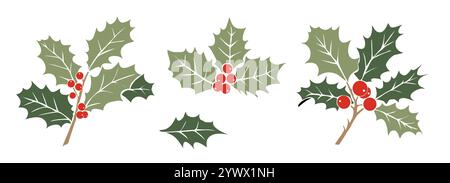 Set von Stechpalme, Dezember Geburtsmonat Blumen. Stock Vektor