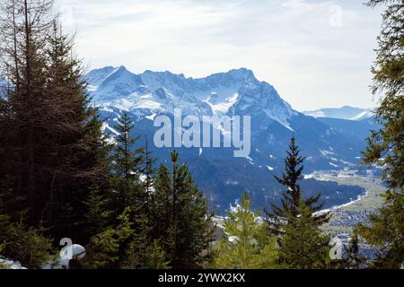 Majestätische schneebedeckte Gipfel erheben sich im Winter über den üppigen immergrünen Wald in Garmisch-Partenkirchen. Die atemberaubende Landschaft zeigt die Schönheit Stockfoto