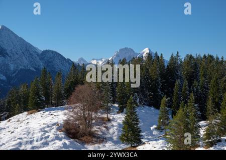 Schnee bedeckt den Boden und die Äste dieser Winterlandschaft in Mittenwald, Bayern. Majestätische Berge erheben sich im Hintergrund unter einem Stockfoto