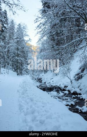 Eine ruhige Winterlandschaft Bayerns mit schneebedeckten Bäumen säumen einen ruhigen Pfad neben einem sanft fließenden Bach. Die friedliche Atmosphäre lädt ein Stockfoto