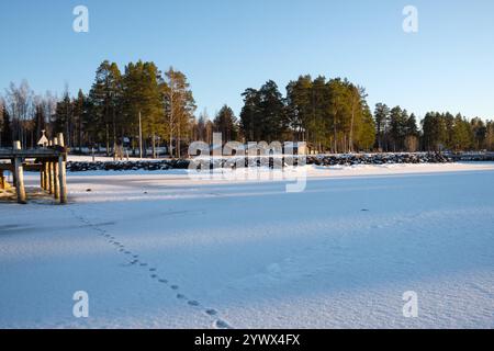 Dalarna, eine ruhige Winterlandschaft in Leksand, zeigt einen gefrorenen See, der mit Schnee bedeckt ist, mit Fußspuren, die zu einer Reihe von Bäumen und Hütten führen Stockfoto