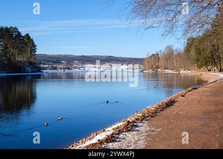 Schnee bedeckt den Boden entlang des Ufers eines ruhigen Sees in Leksand, Dalarna im Winter. Die Enten gleiten sanft über das ruhige Wasser unter einem hellen Licht Stockfoto