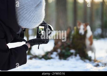 Ein Fotograf mit Ausrüstung konzentriert sich auf einen Jack Russell Terrier, der auf einem verschneiten Baumstumpf im Wald steht. Die dynamische Szene erfasst den Stockfoto