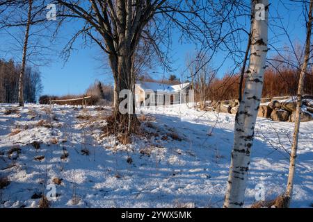 Ein ruhiger Wintertag in Västanvik, Dalarna, bietet eine schneebedeckte Landschaft. Ein gemütliches Holzhaus ist eingebettet zwischen Birkenbäumen, reflektiert die friedliche B Stockfoto