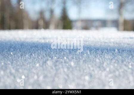 Zarte Schneeflocken bedecken den Boden in Schweden und reflektieren das Sonnenlicht. Stockfoto