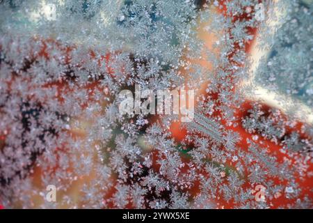 Zarte Frostmuster zieren ein Fenster in Västanvik, Dalarna, und bieten einen atemberaubenden Blick auf die verschneite Landschaft draußen. Stockfoto