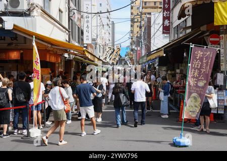 Straßenszene in Tsukiji Outer Market in Tokio, Chuo City, Japan, Asien. Stockfoto