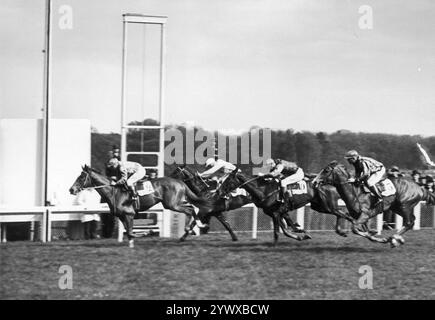 Le Prix de Greffulhe Pferderennen im Hippodrome de Longchamp in Paris 1937. Vintage French Archive Foto Die Teilnehmer des Pferderennens „Le Prix Greffulhe“ laufen bis zur Ziellinie. An der Spitze steht der Sieger des Wettbewerbs, P. Moulines, auf dem Pferd „Samy“. Stockfoto