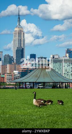 Das Foto aus Hoboken zeigt Kanadiengänse, die auf grünem Gras im Vordergrund grasen, einen Pavillon in der Mitte und die Skyline mit Wolken Out Stockfoto