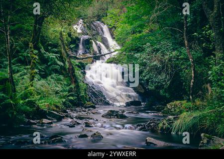 Eine ruhige Waldszene in Aberfoyle, Schottland, mit einem kaskadierenden Wasserfall, umgeben von moosbedeckten Felsen und lebhaftem Grün. Das ruhige Atmo Stockfoto