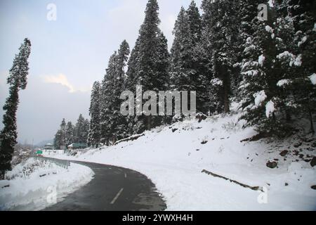 Srinagar, Jammu Und Kaschmir, Indien. Dezember 2024. Frischer Schneefall in Heerpora Shopian im Süden Kaschmirs. Die Leute laufen, während die Jungen nach dem Neuschnee mit Schnee spielen. (Kreditbild: © Nisar UL Haq Allaie/Pacific Press via ZUMA Press Wire) NUR REDAKTIONELLE VERWENDUNG! Nicht für kommerzielle ZWECKE! Stockfoto