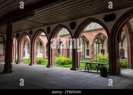 Klosterbogengang mit Garten vor der Nikolaikapelle im Basler Münster in der Altstadt von Basel in der Schweiz. Stockfoto