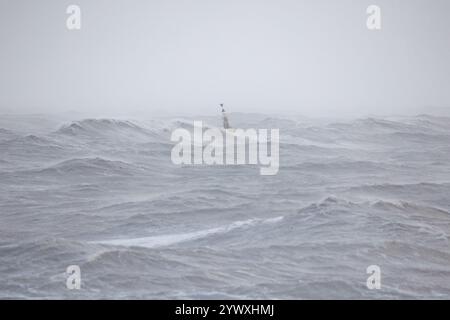 Porthcawl-Sturm, die Küste wird von den Wellen zertrümmert Stockfoto