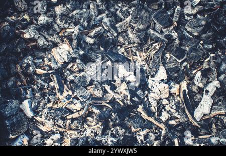 Detaillierte Nahaufnahme von verkohltem Holz und Asche mit einer griffigen und strukturierten Oberfläche mit verbrannten Details. Dieses Bild zeigt die Folgen des Feuers, p Stockfoto