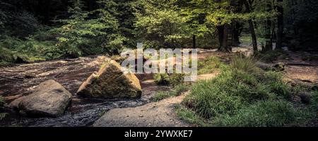 Golitha Falls. Ein Panoramablick auf den Fluss Fowey, der durch den alten Wald von Draynes Wood auf Bodmin Moor in Cornwall in Großbritannien fließt. Stockfoto