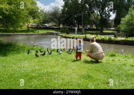 Eine Mutter und ihr kleiner Sohn füttern Tauben in den preisgekrönten Trenance Gardens in Newquay in Cornwall. Stockfoto