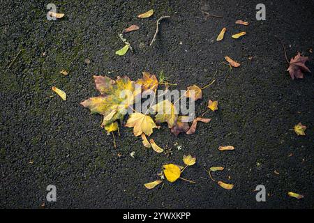 Gefallene Blätter liegen auf einem Asphaltweg im Herbst in Großbritannien. Stockfoto