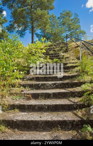 Alte Steintreppen im Park im Sommer. Stockfoto
