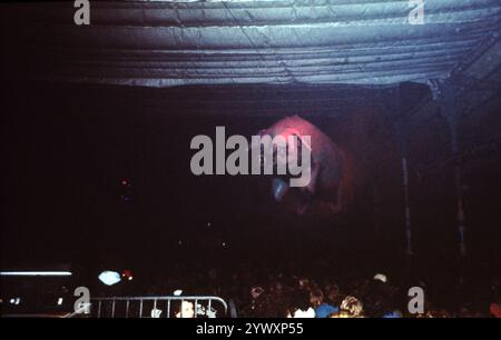 Philippe Gras / Le Pictorium - Pink Floyd - 21/02/2024 - Frankreich / Ile-de-France (Region) / Paris - Pink Floyd Konzert in Paris, 1970 Stockfoto